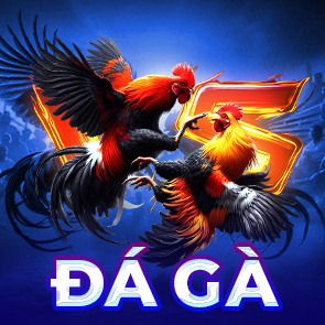 ĐÁ GÀ TRỰC TIẾP F8BET