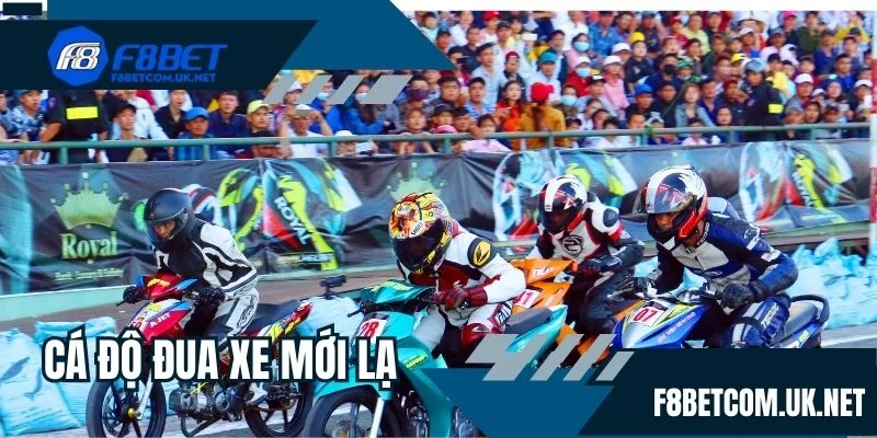 Cá độ đua xe mới lạ