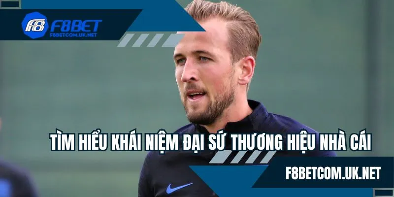Tìm hiểu định nghĩa về người quảng bá hình ảnh