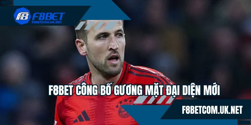 Tìm hiểu thông tin về gương mặt Harry Kane sau khi hợp tác